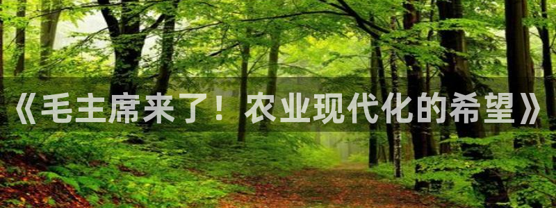 金年会彩票软件