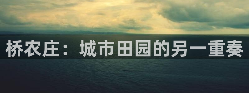 金年会体育平台