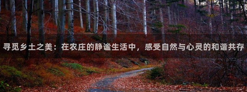 金年会官方网址登录路线