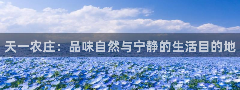 金年会官方网站下载