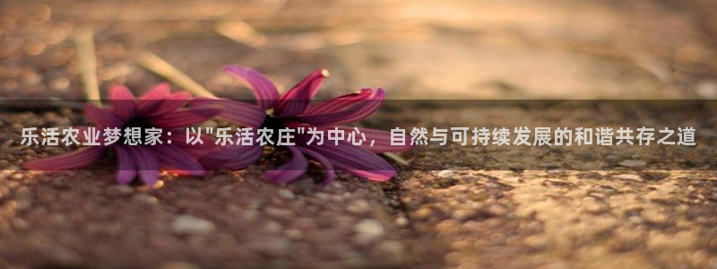 金年会投注官网