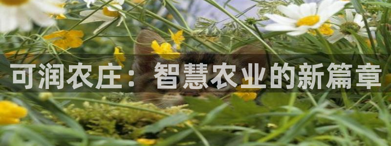 金年会下载官方