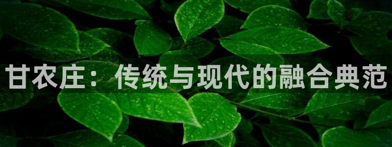 金年会娱乐官网