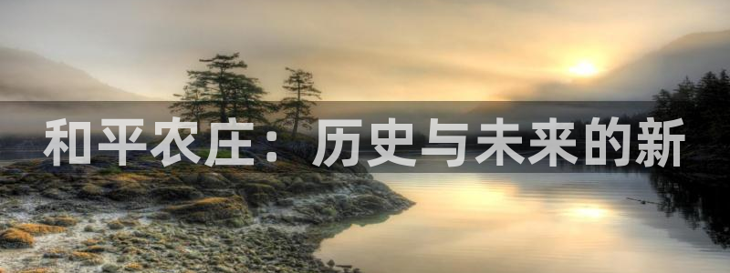 金年会体育官网在线