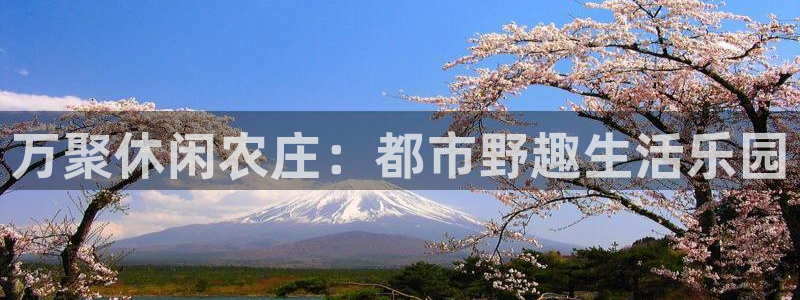 金年会体育娱乐