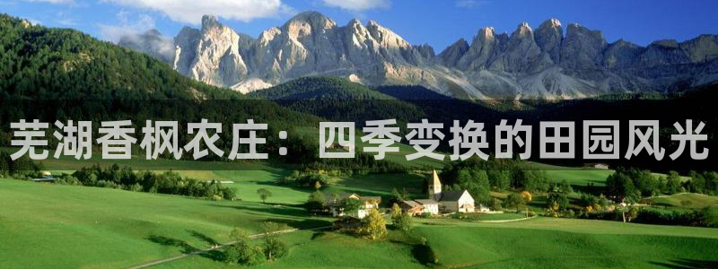 金年会体育和金年会