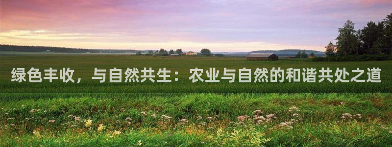 金年会网页版登陆