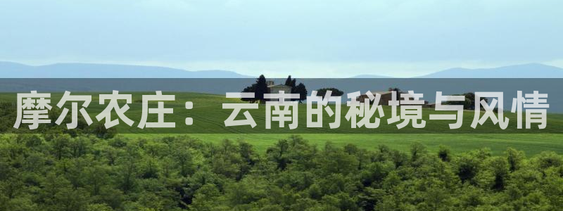 金年会赞助曼联