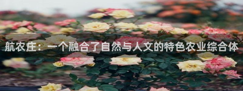 金年会手机官网