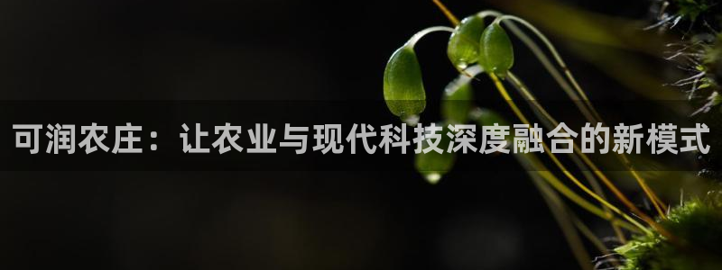 金年会体育下载