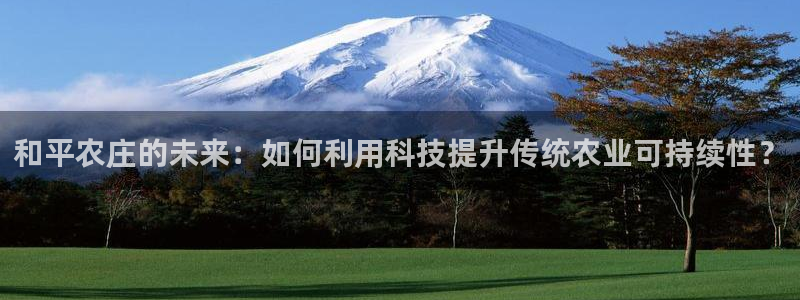 金年会最新下载