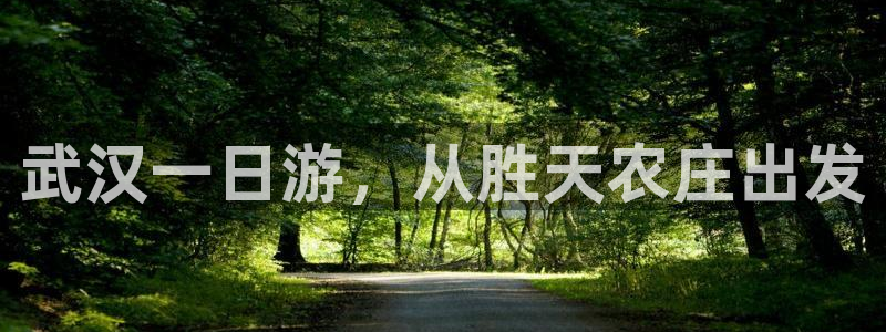 金年会赞助曼联