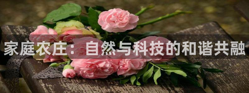 金年会软件在线下载