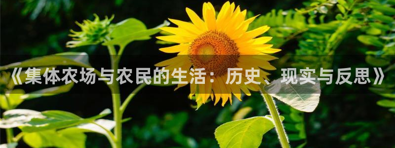 金年会体育下载app