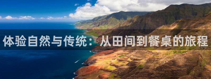 金年会体育下载app