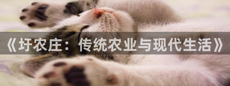 金年会赞助西甲