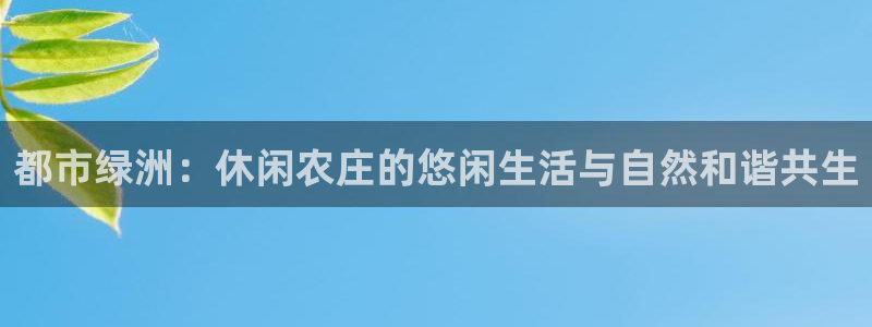 金年会是正规的吗