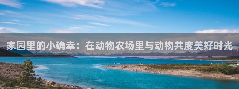 金年会平台是什么