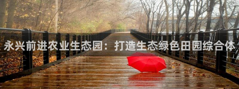 金年会手机网页登录