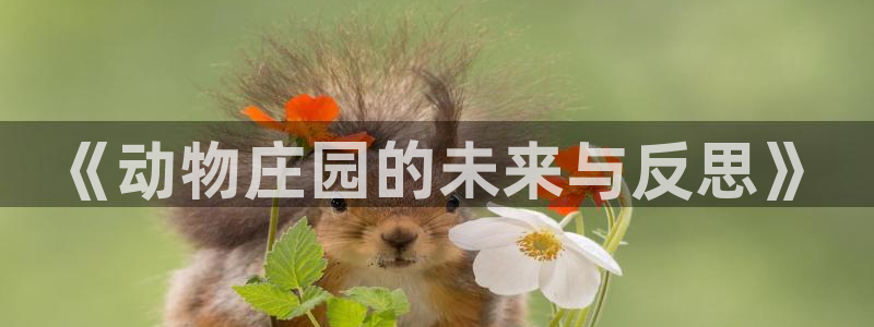 金年会手机官网