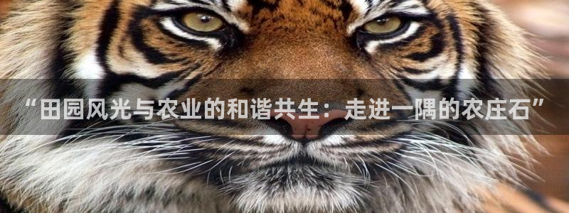 金年会首页登录