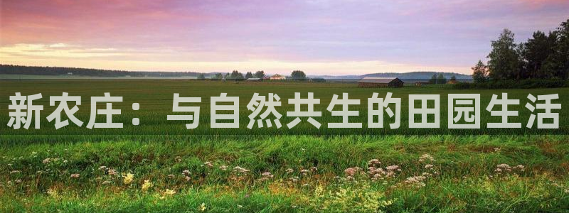 金年会网页版登陆